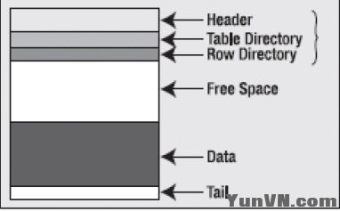 7fc967b90a6a375da15f41d2a981fdac.png