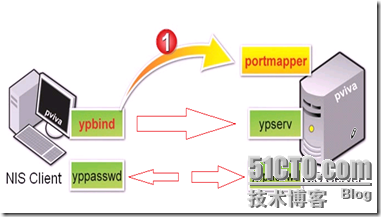 024a6886fd70fa58a53f9c33195a811d.png