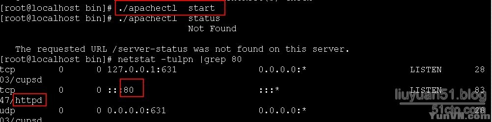 231501394.jpg