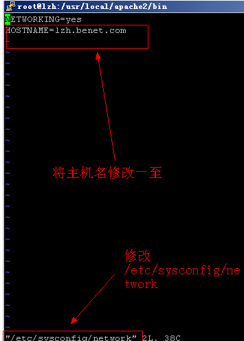 233137973.png