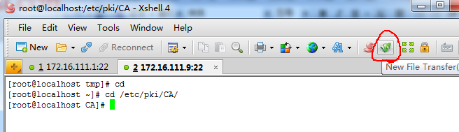 212939503.jpg