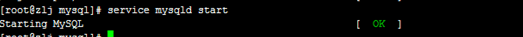 005609908.jpg