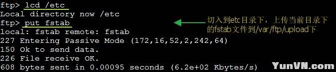 203706702.jpg