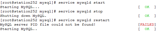 225820813.jpg