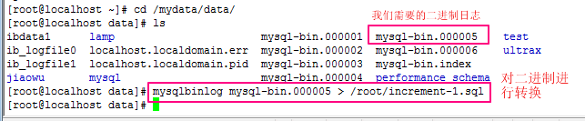 155136941.jpg
