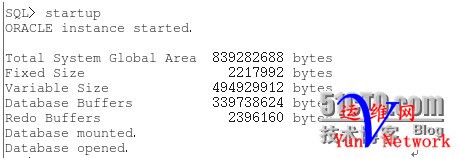 162825504.jpg