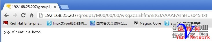145705390.jpg