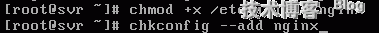 172802229.png