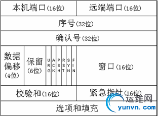 tcp-header.jpg