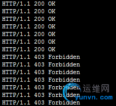113601_xDDG_86462.png