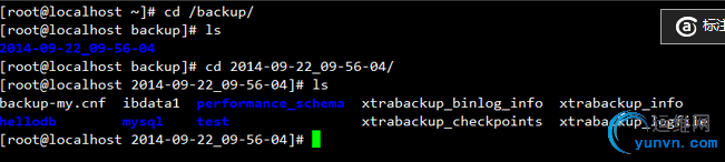 xtbk_1.png