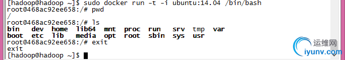 DSC0001.png