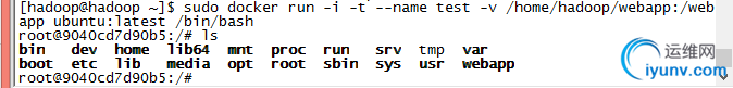 DSC0000.png