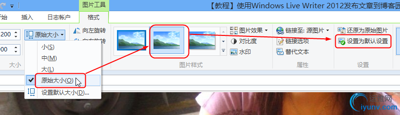DSC00016.png