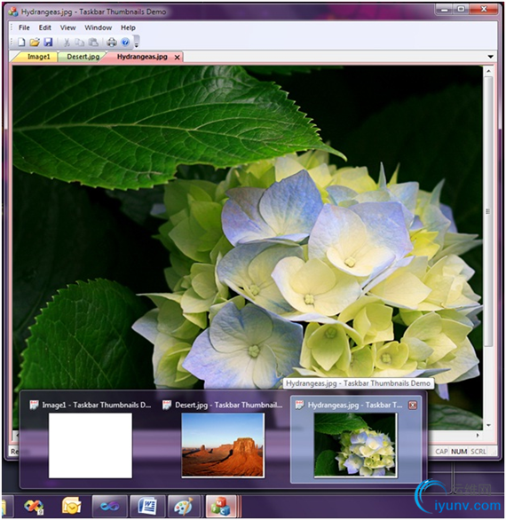 DSC0001.png