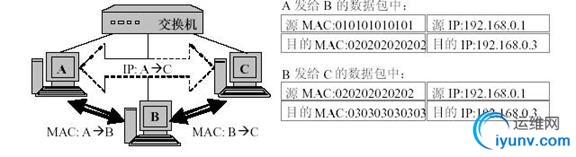 DSC0003.jpg
