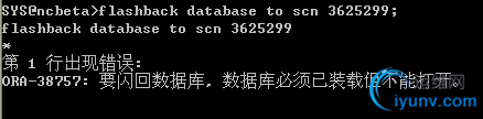 DSC0004.png