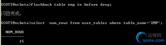 DSC00011.png