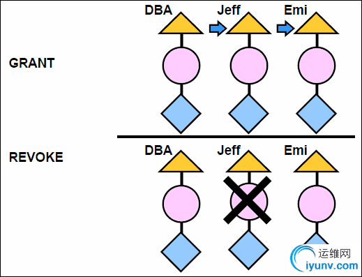DSC0002.png