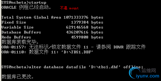 DSC0003.png