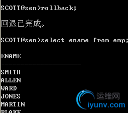 DSC0005.png
