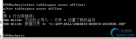 DSC00015.png