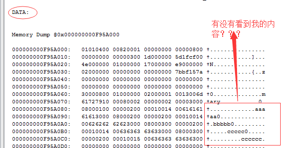 DSC0006.png