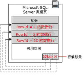 DSC0002.png