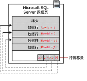 DSC0003.png