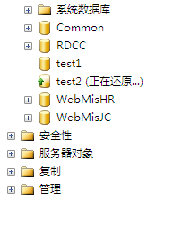 DSC00017.png
