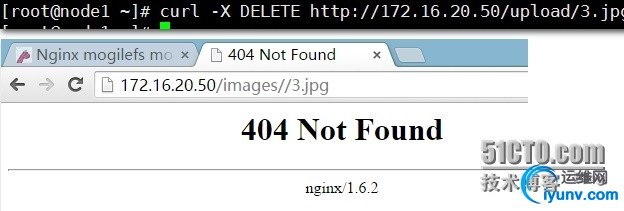 wKiom1WOx5ujUBAgAAEcDZ3cxXw908.jpg