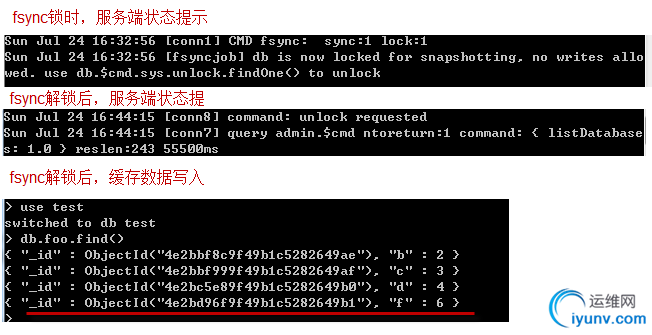 DSC0004.png