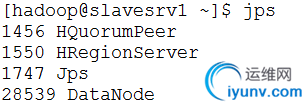 DSC0003.png