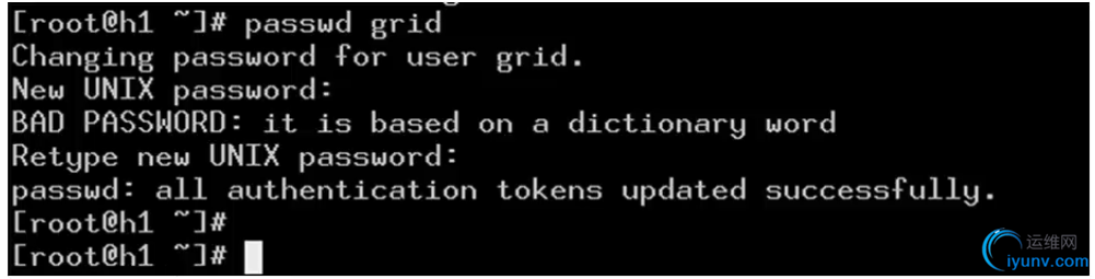 DSC0004.png