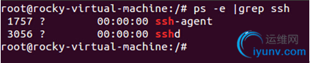 DSC0004.png