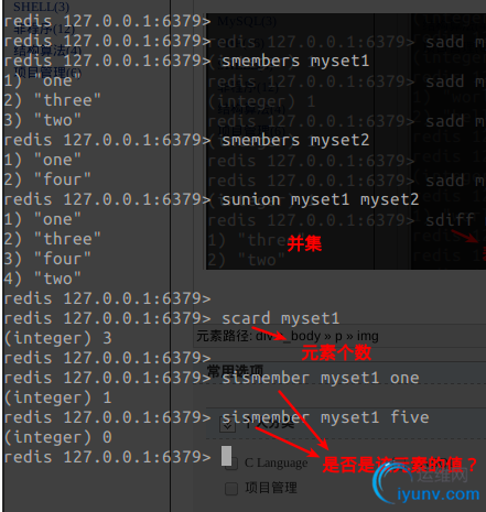 DSC00019.png