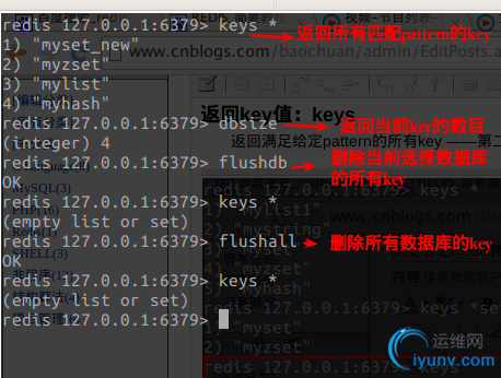DSC00021.png