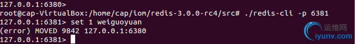 DSC0003.png