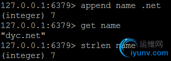 DSC0004.png