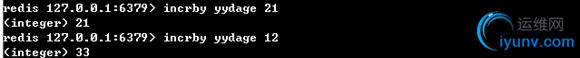 DSC00010.png