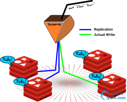 DSC0009.png