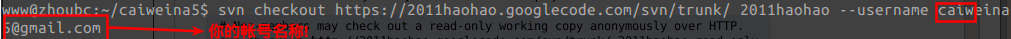 DSC00015.png
