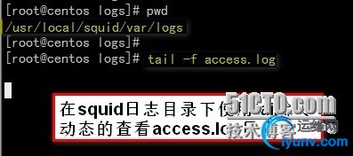 wKioL1XYFwfy2uEXAADFolddlJw237.jpg