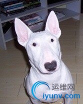 DSC0002.jpg