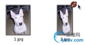 DSC0004.png