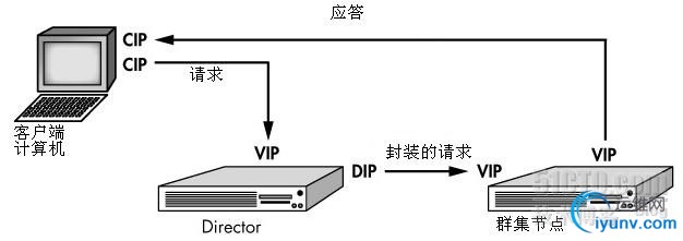 DSC0002.jpg