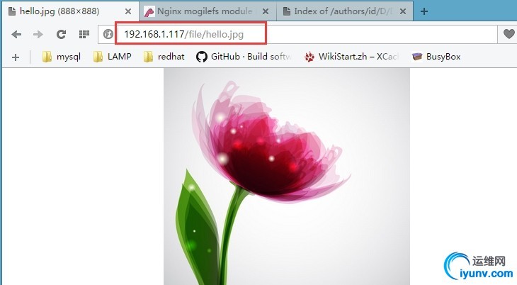 wKioL1Xu417j17fBAAGs9O13Tw4484.jpg