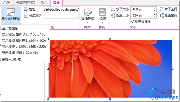 DSC0005.png