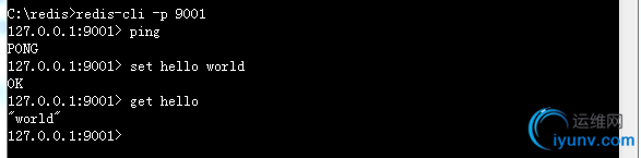 DSC0002.jpg