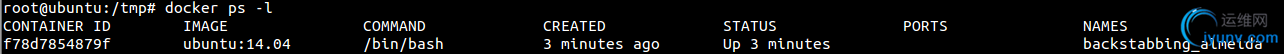DSC0002.png